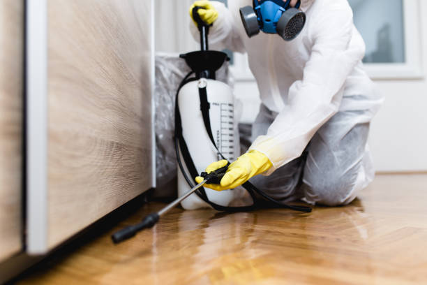 Best Flea Control Services  in Pikeville, TN