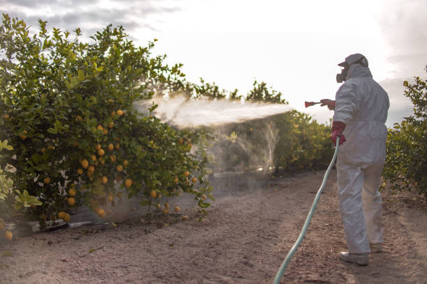 Best Mosquito Control Services  in Pikeville, TN