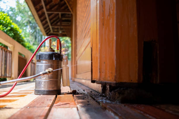 Best Affordable Pest Control Services  in Pikeville, TN