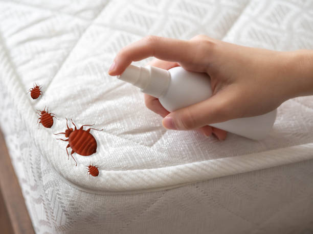 Best Best Pest Control Companies  in Pikeville, TN