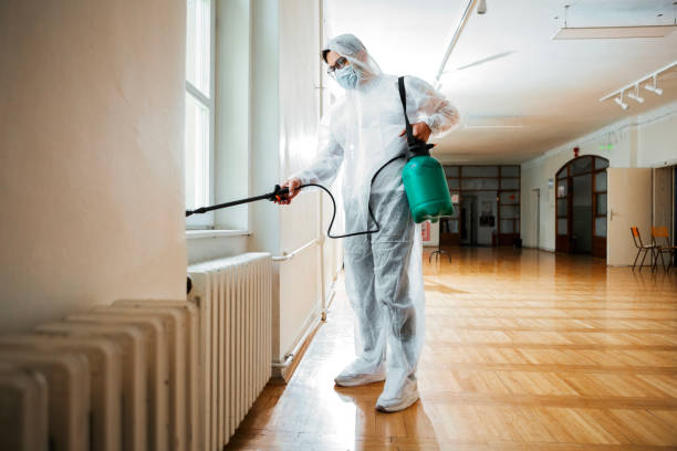 Best Termite Control Services  in Pikeville, TN