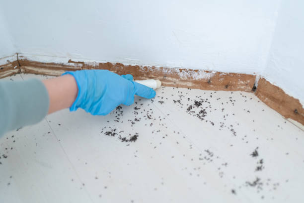 Best Wildlife Control Services  in Pikeville, TN
